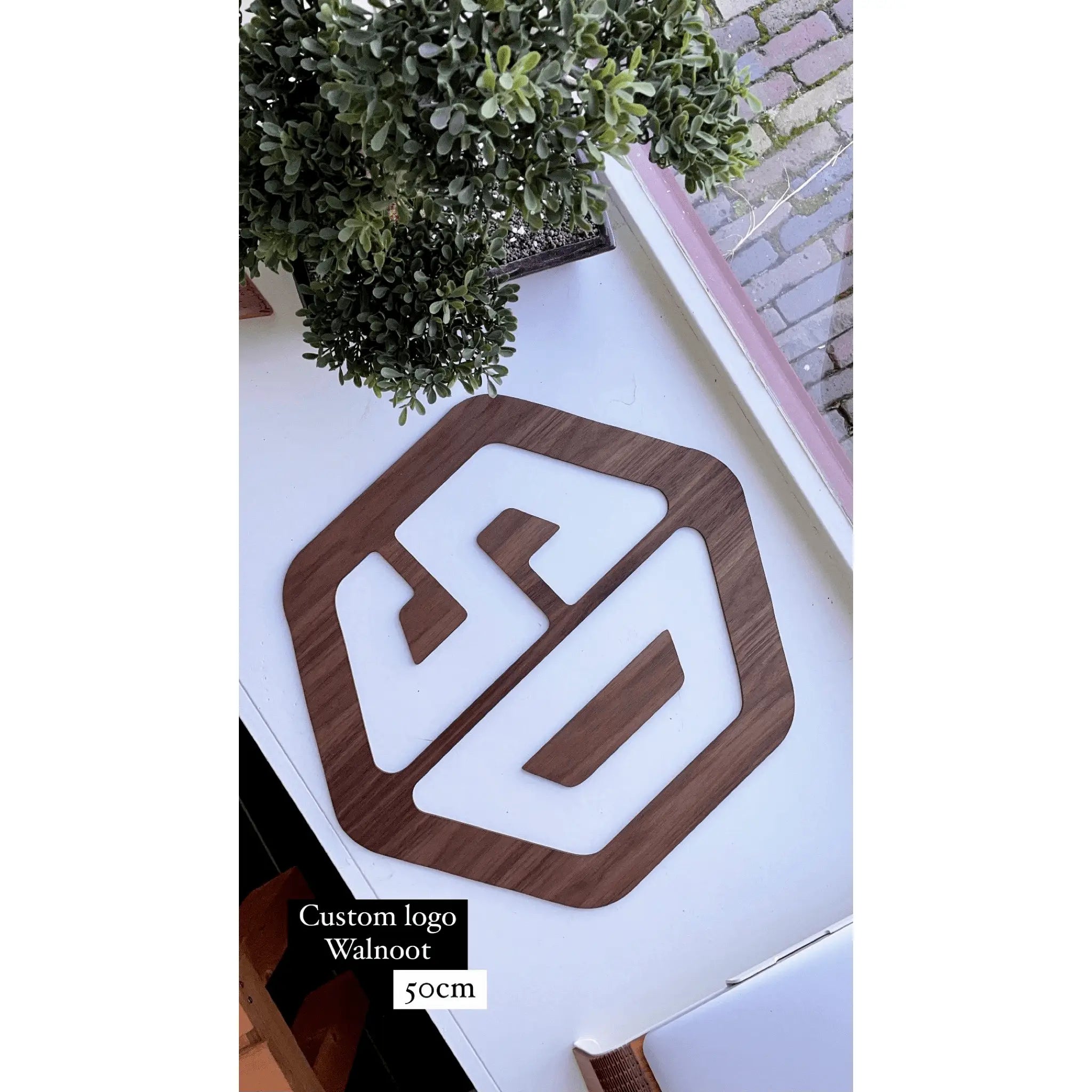 RAUW houten 3D logo bedrijf muurmontage